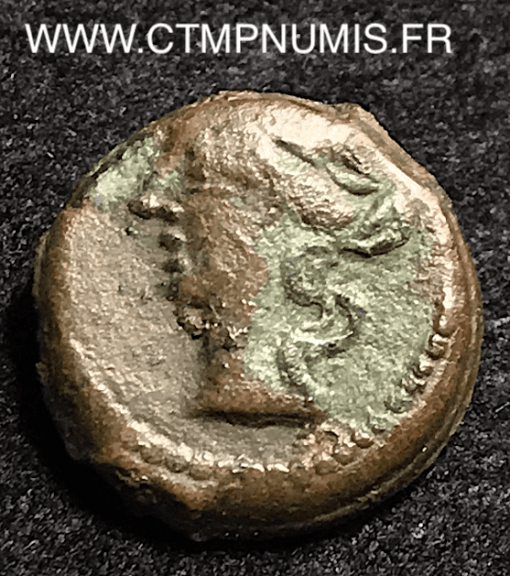 GAULOISE NIMES PETIT BRONZE AU SANGLIER