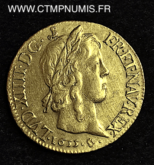 ,ROYALE,LOUIS,XIV,LOUIS,OR,1655,M,TOULOUSE,