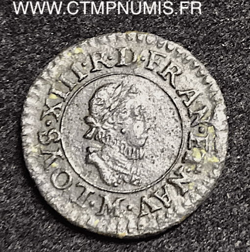 ,MONNAIE,ROYALE,LOUIS,XIII,DENIER,TOURNOIS,1612,M,TOULOUSE,