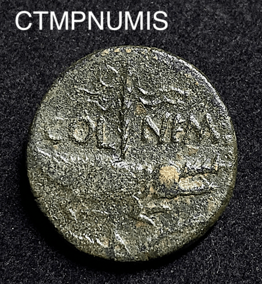 ,MONNAIE,ROMAINE,AS,AUGUSTENETNAGRIPPA,NIMES,CROCODILE,