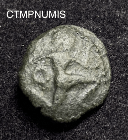 ,MONNAIE,GAULOISE,VELIOCASSES,