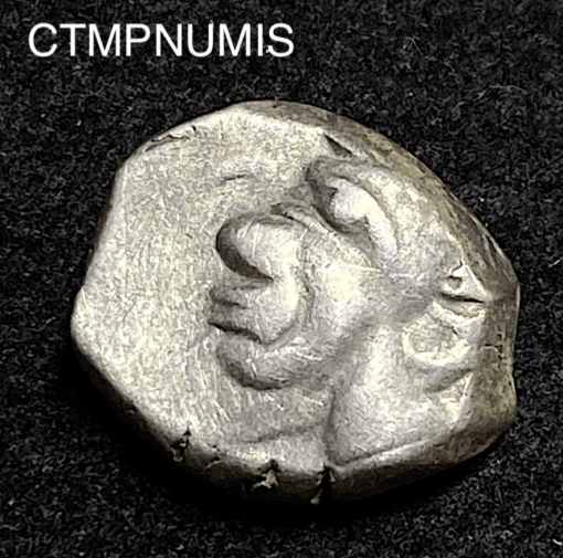 ,MONNAIE,GAULOISE,DRACHME,VOLQUES,NEGROIDE,LANGUEDOC,
