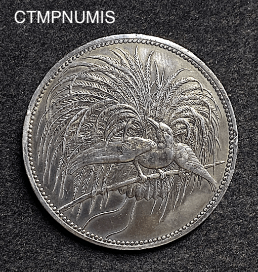 ,ALLEMAGNE,PAPOUASIE,5,MARK,ARGENT,1894,COLONIE,